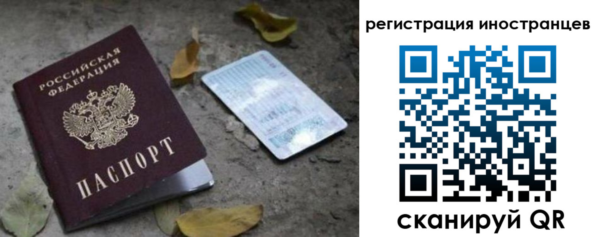 временная регистрация собственник в Сольцах